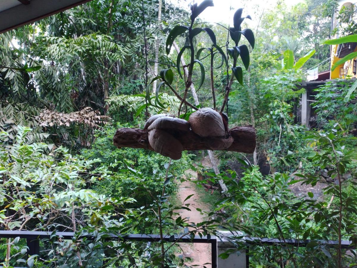 Rock Side Inn Unawatuna Exterior foto