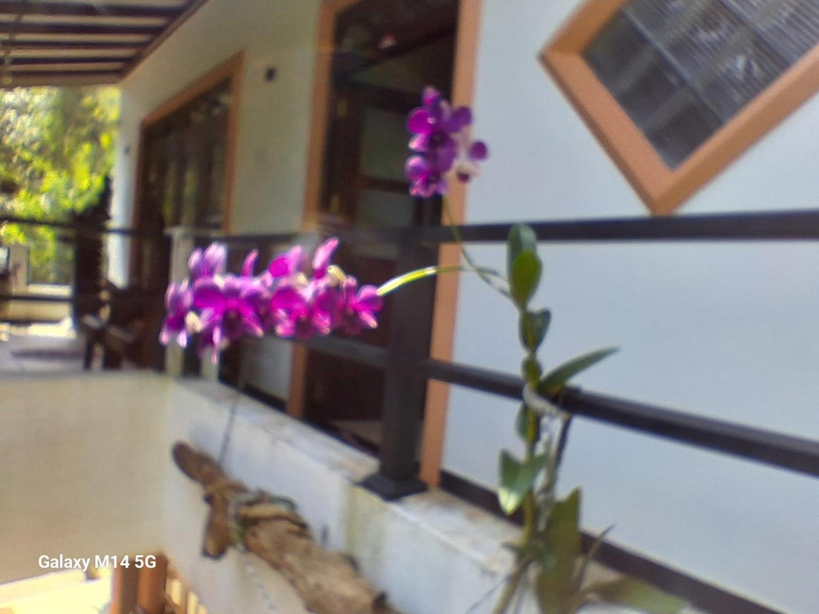 Rock Side Inn Unawatuna Exterior foto
